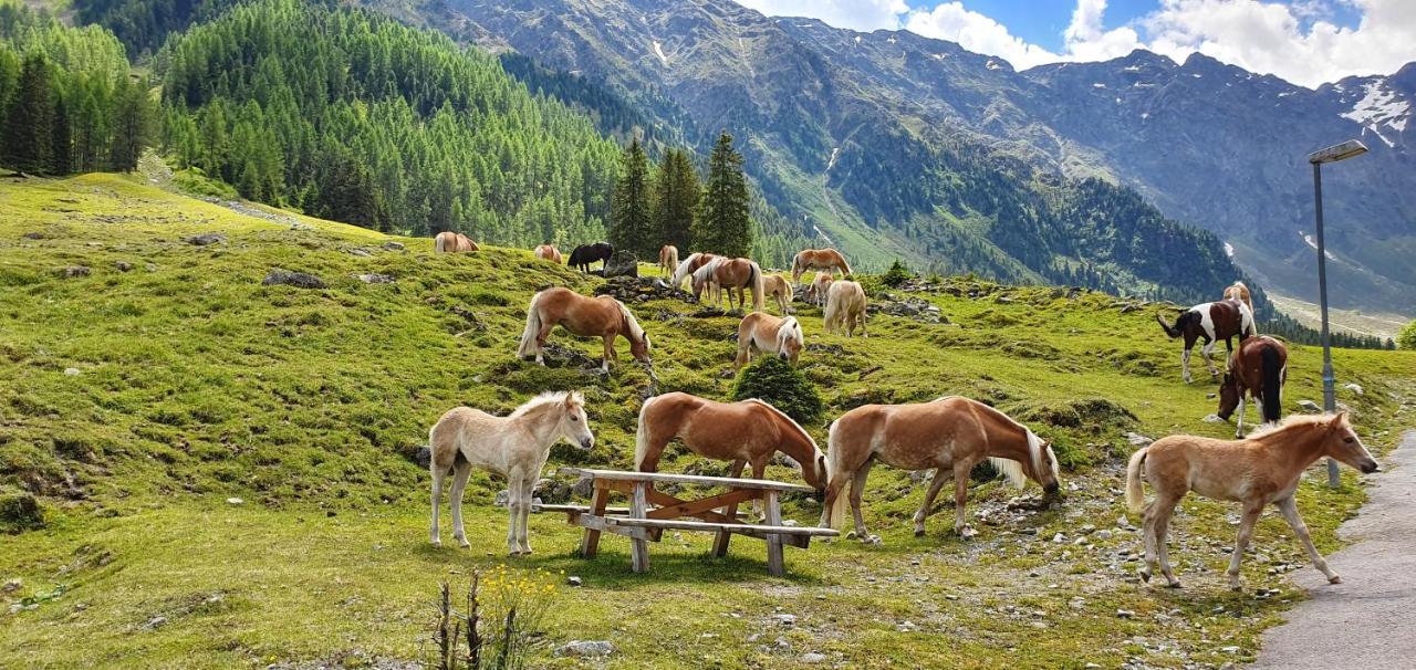 Gastehaus Landhaus Tyrol Otel Gries im Sellrain Dış mekan fotoğraf