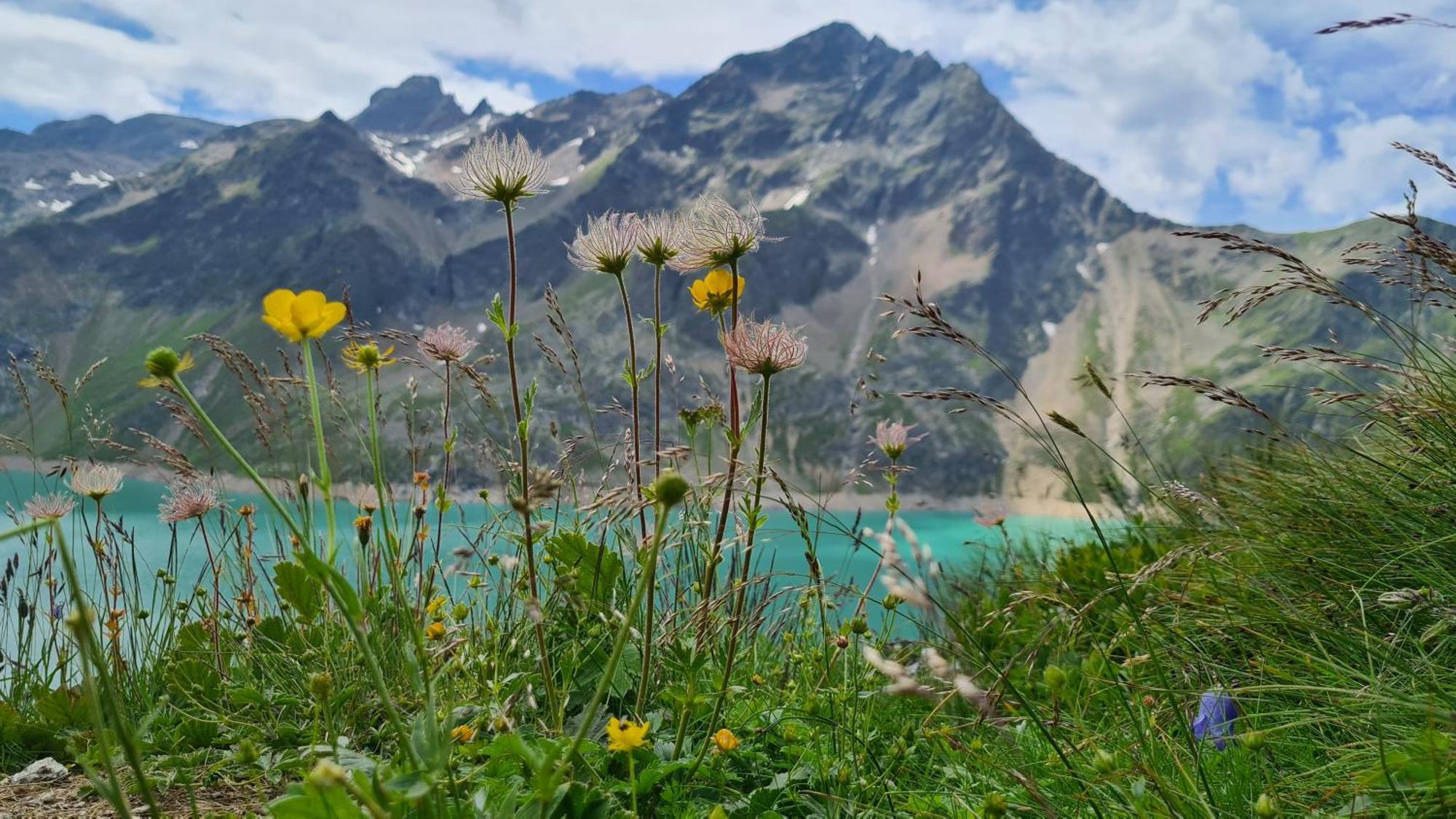 Gastehaus Landhaus Tyrol Otel Gries im Sellrain Dış mekan fotoğraf