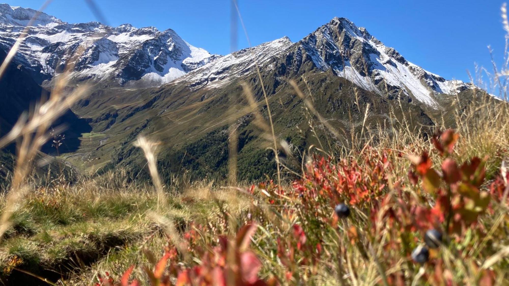Gaestehaus Landhaus Tyrol Gries im Sellrain Dış mekan fotoğraf