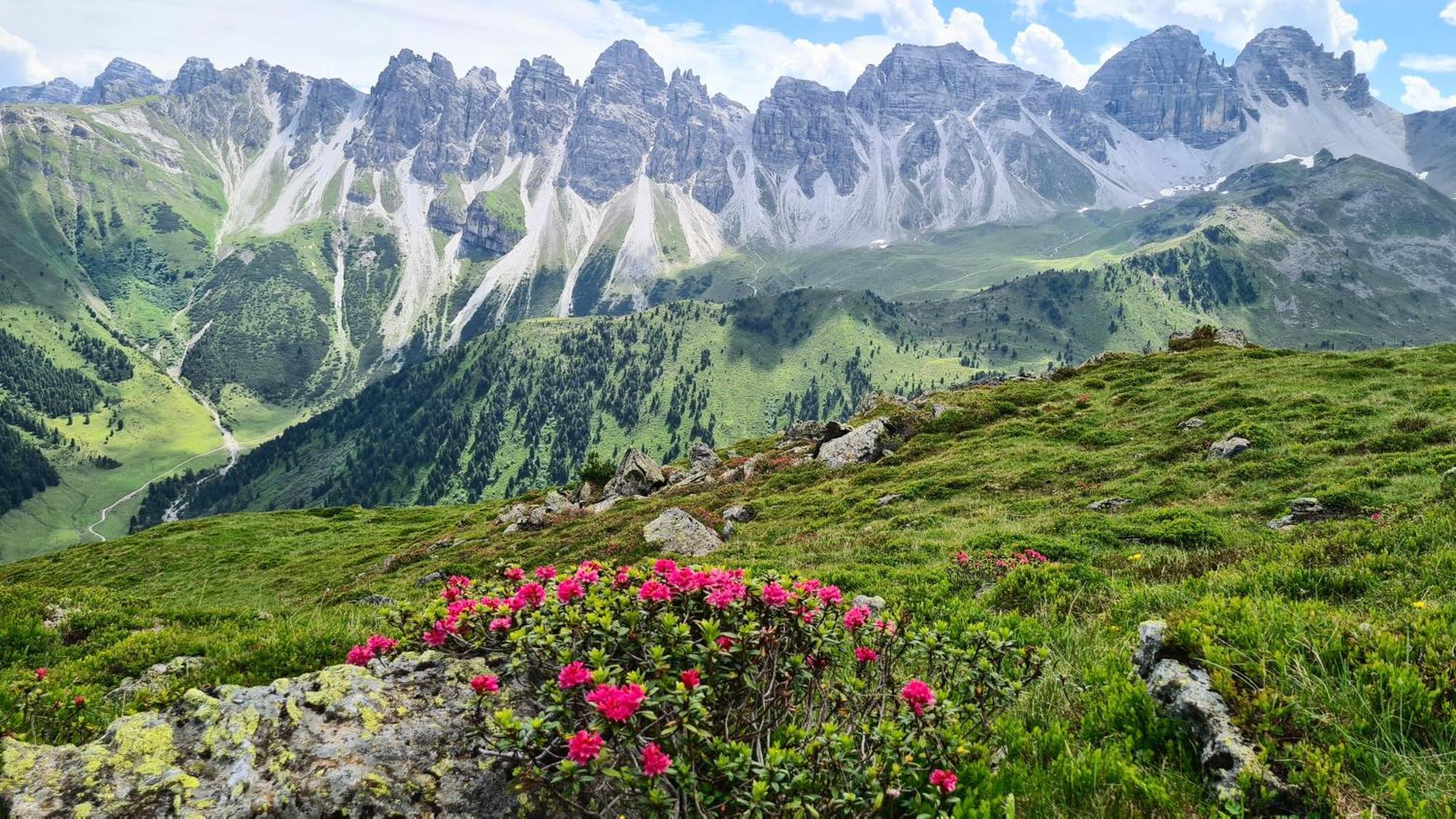 Gastehaus Landhaus Tyrol Otel Gries im Sellrain Dış mekan fotoğraf