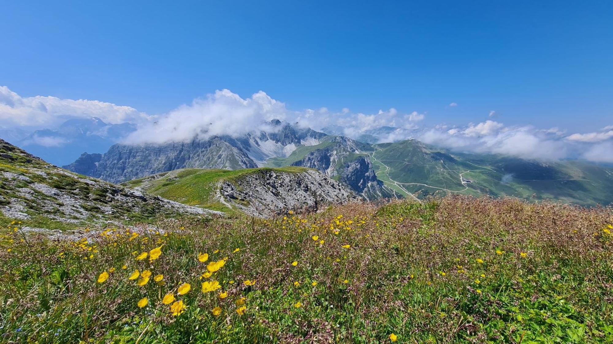 Gaestehaus Landhaus Tyrol Gries im Sellrain Dış mekan fotoğraf