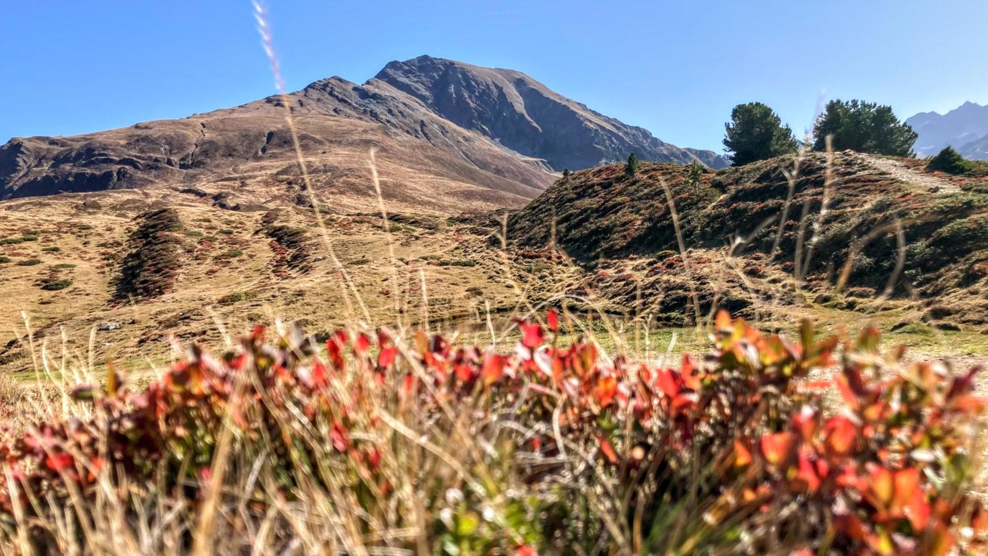 Gaestehaus Landhaus Tyrol Gries im Sellrain Dış mekan fotoğraf