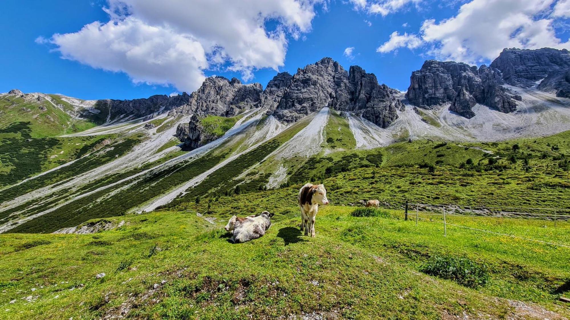 Gastehaus Landhaus Tyrol Otel Gries im Sellrain Dış mekan fotoğraf