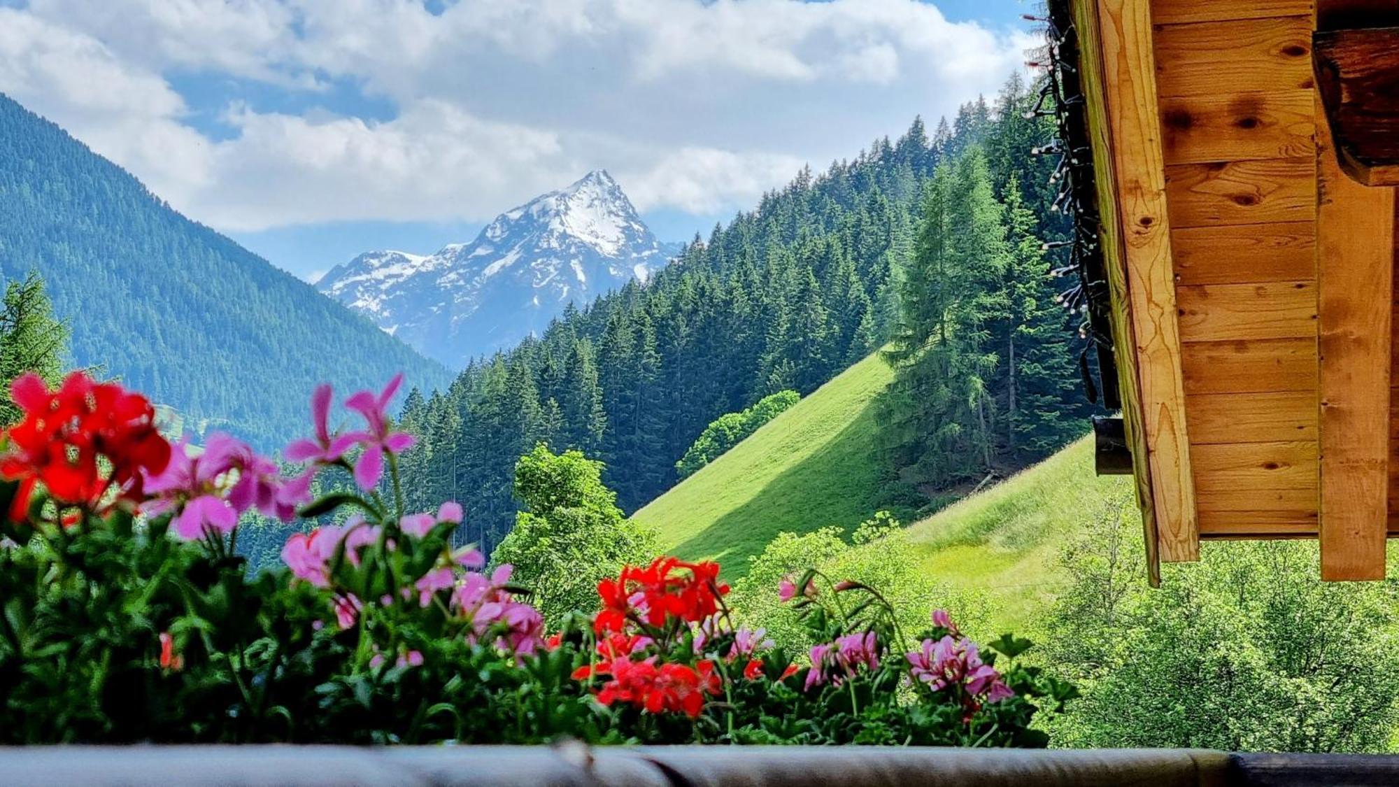 Gaestehaus Landhaus Tyrol Gries im Sellrain Dış mekan fotoğraf